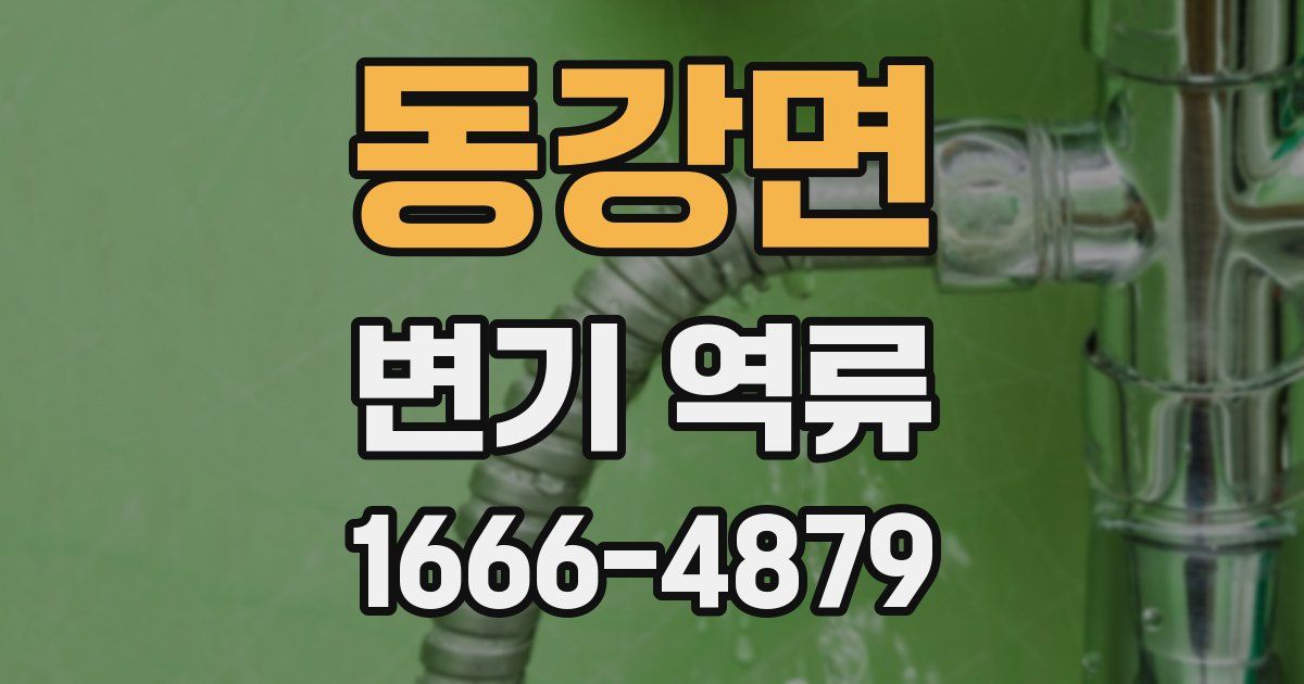 동강면 변기 역류