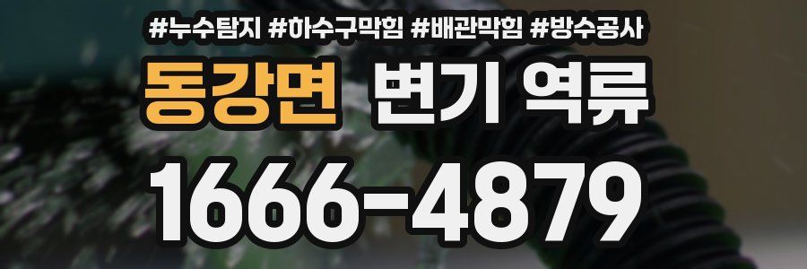 동강면 변기 역류