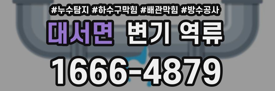 대서면 변기 역류