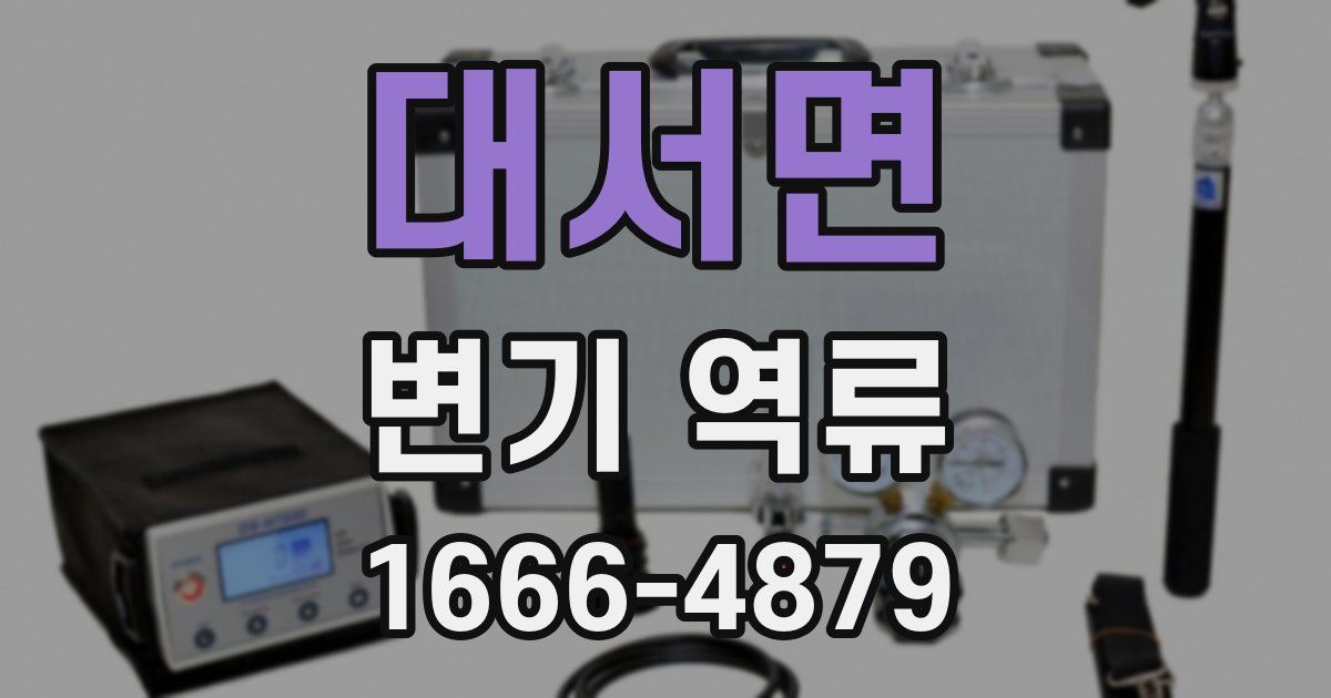 대서면 변기 역류