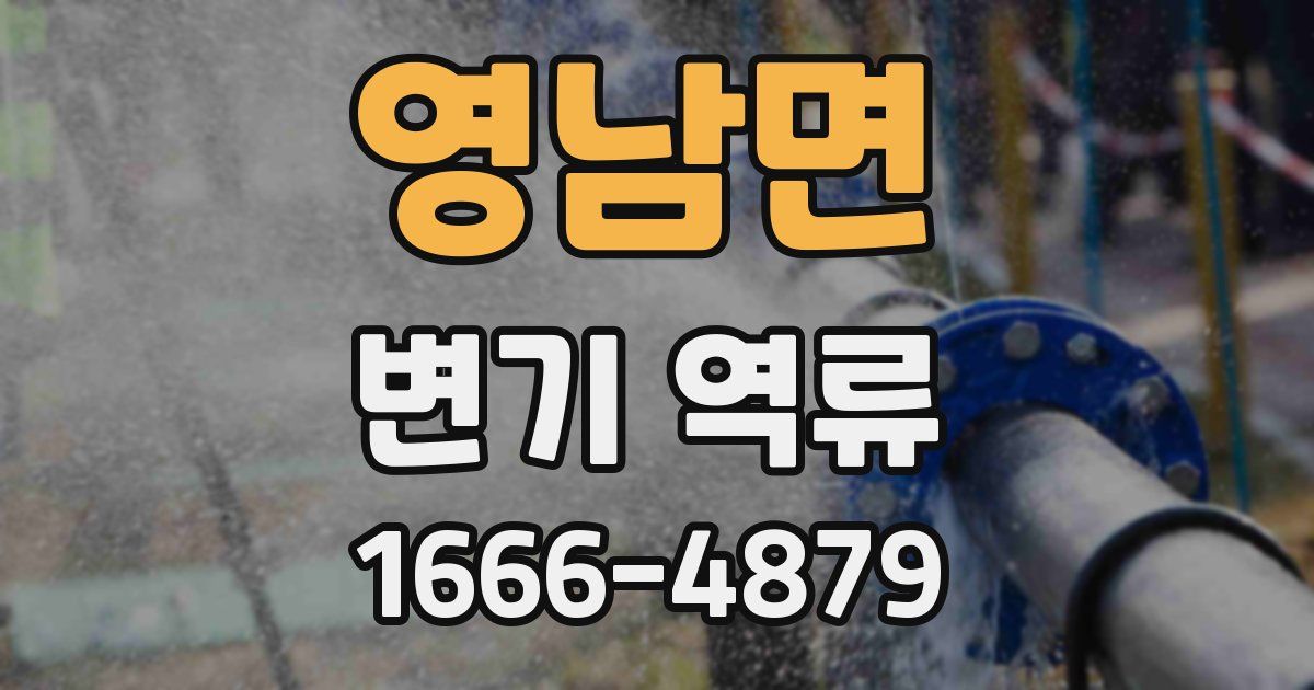 영남면 변기 역류