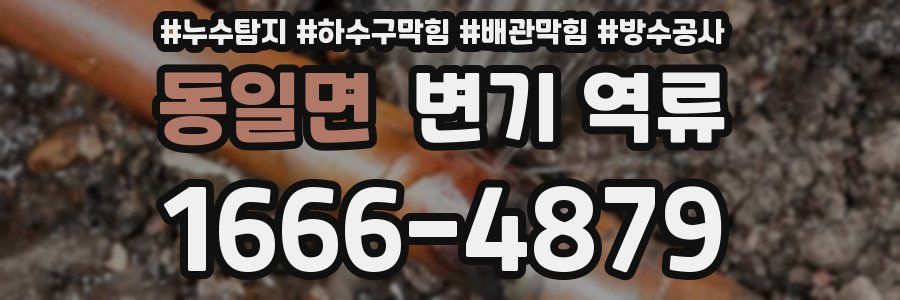 동일면 변기 역류