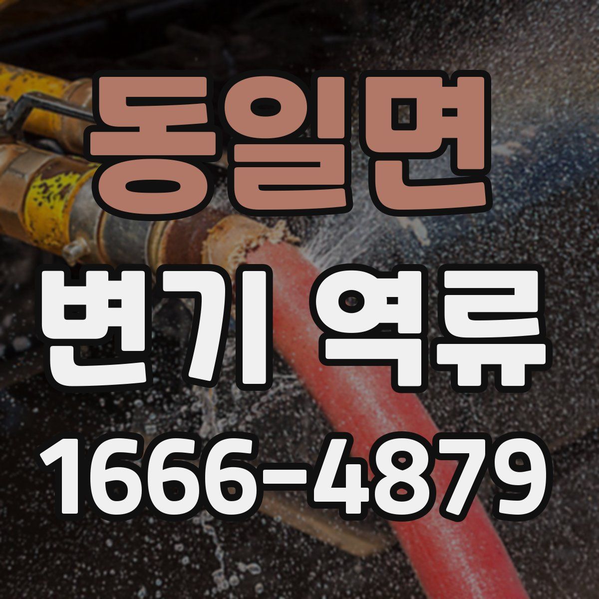 동일면 변기 역류
