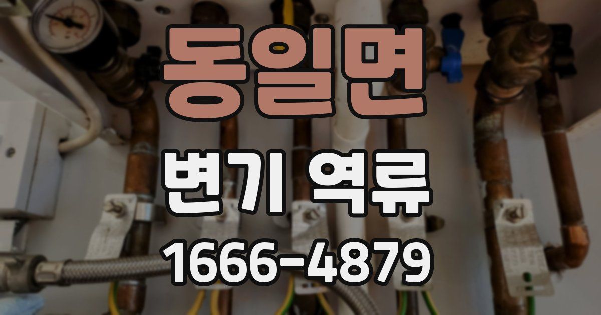 동일면 변기 역류