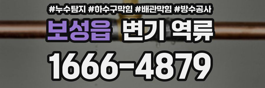 보성읍 변기 역류