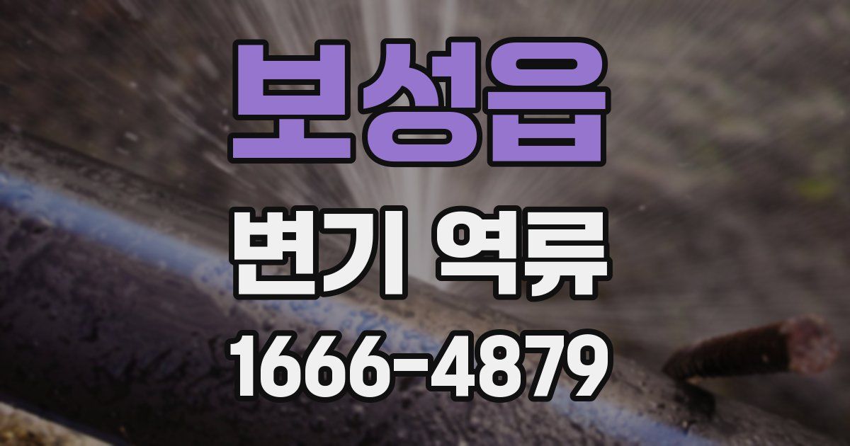 보성읍 변기 역류