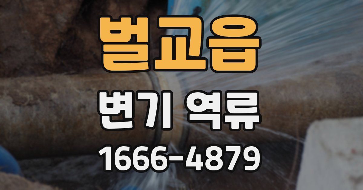 벌교읍 변기 역류