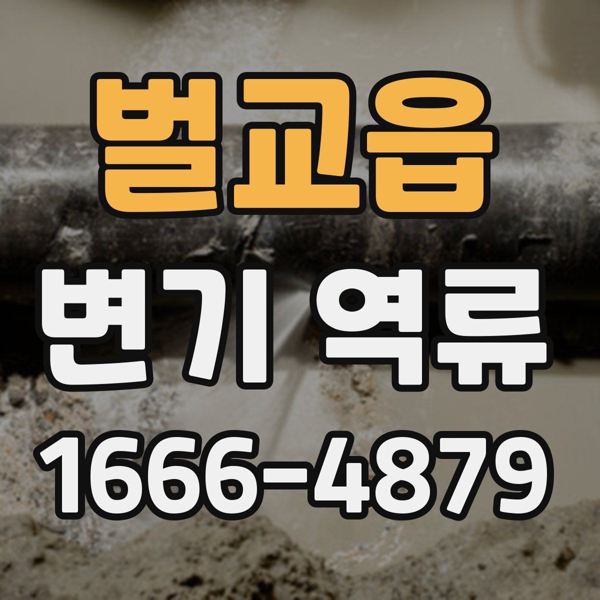 벌교읍 변기 역류
