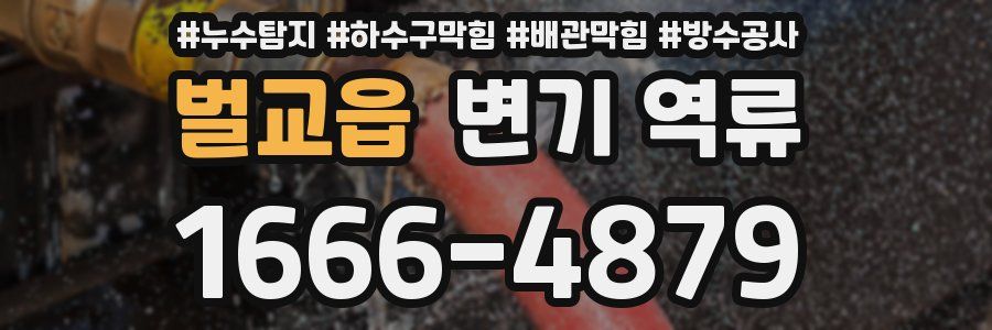 벌교읍 변기 역류