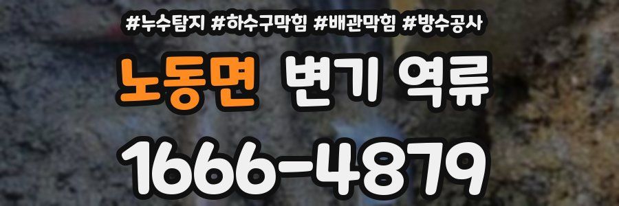 노동면 변기 역류