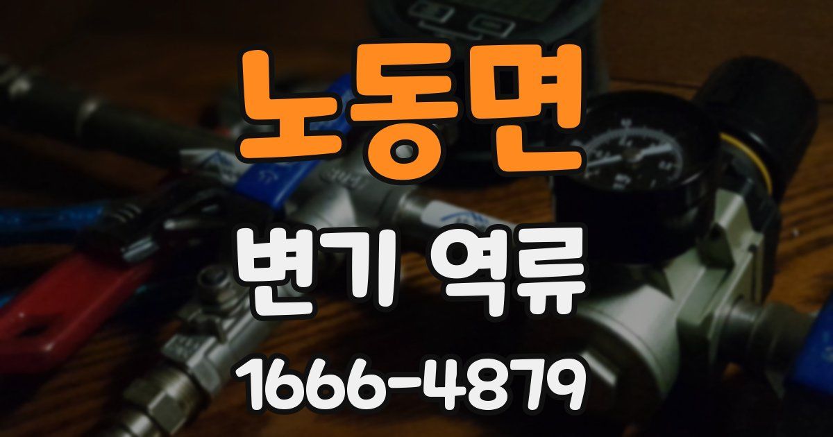 노동면 변기 역류