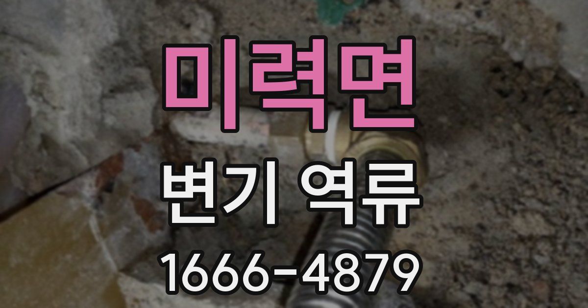 미력면 변기 역류