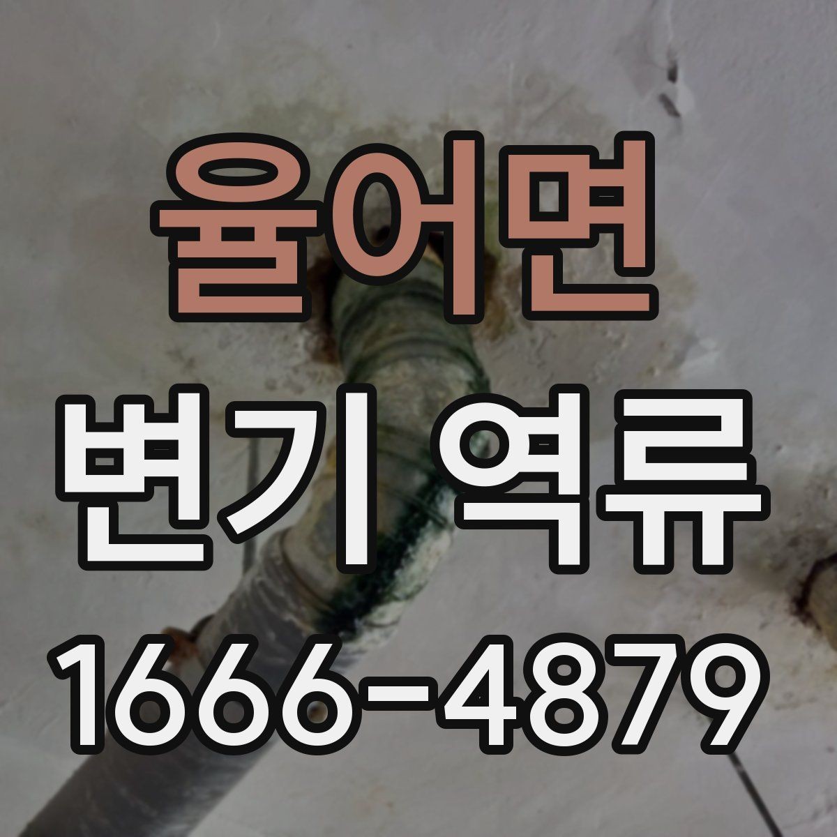 율어면 변기 역류 해결 전 꼭 살펴볼 체크 항목