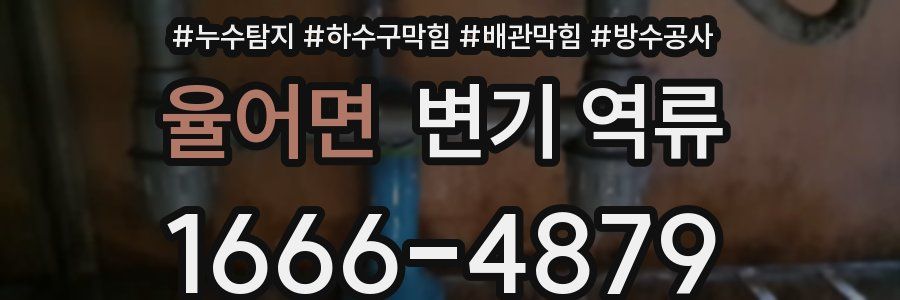 율어면 변기 역류