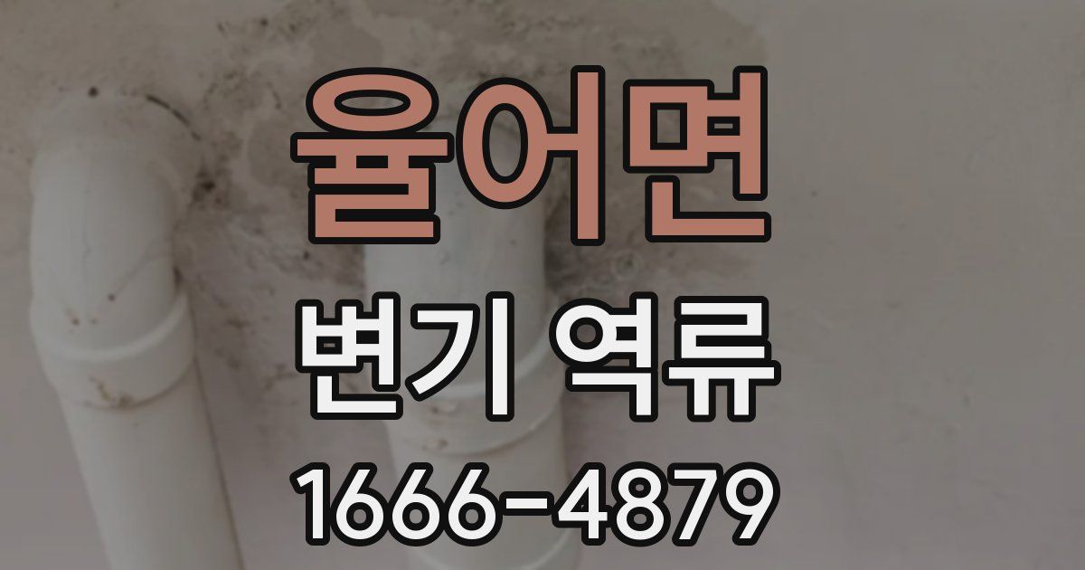 율어면 변기 역류