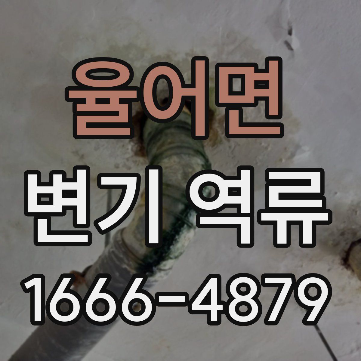 율어면 변기 역류