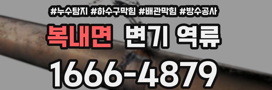 복내면 변기 역류