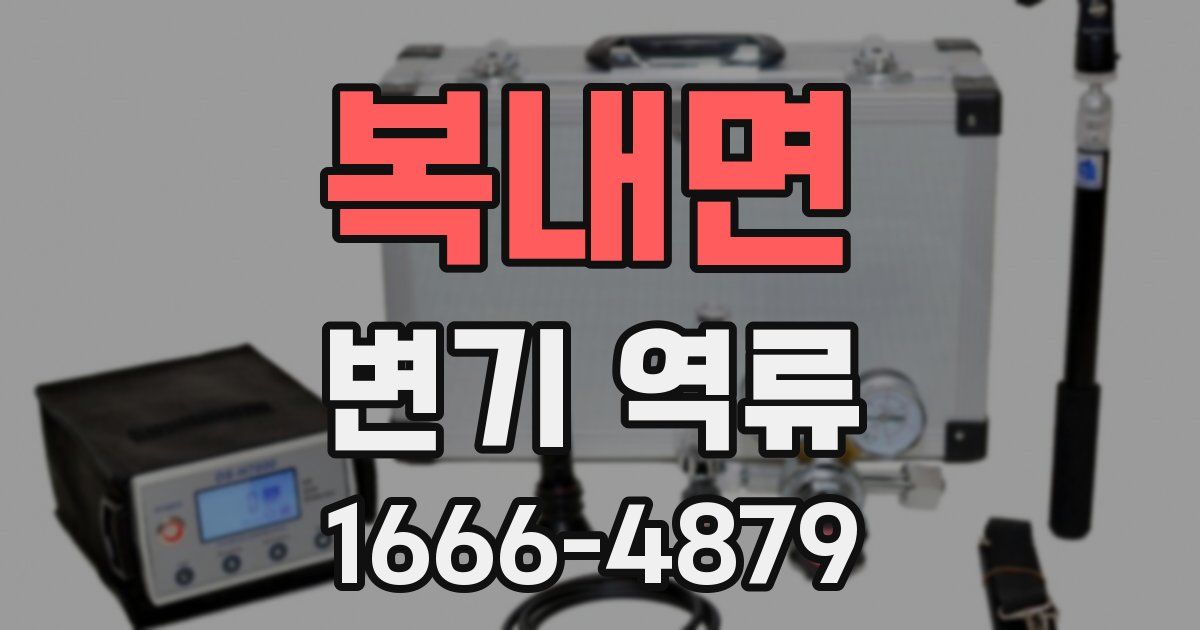 복내면 변기 역류