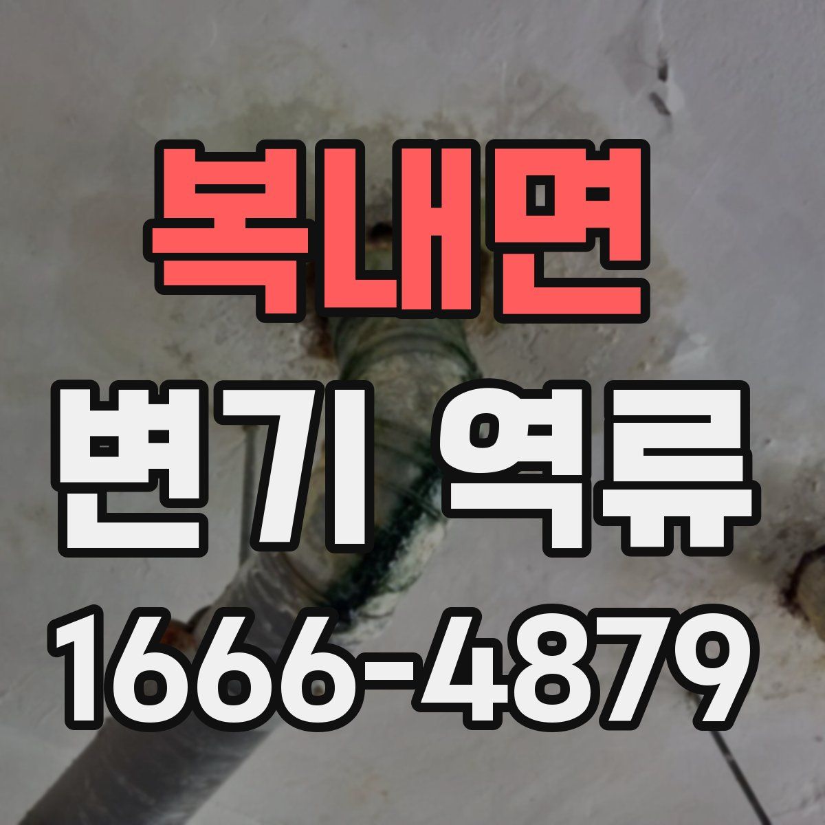 복내면 변기 역류