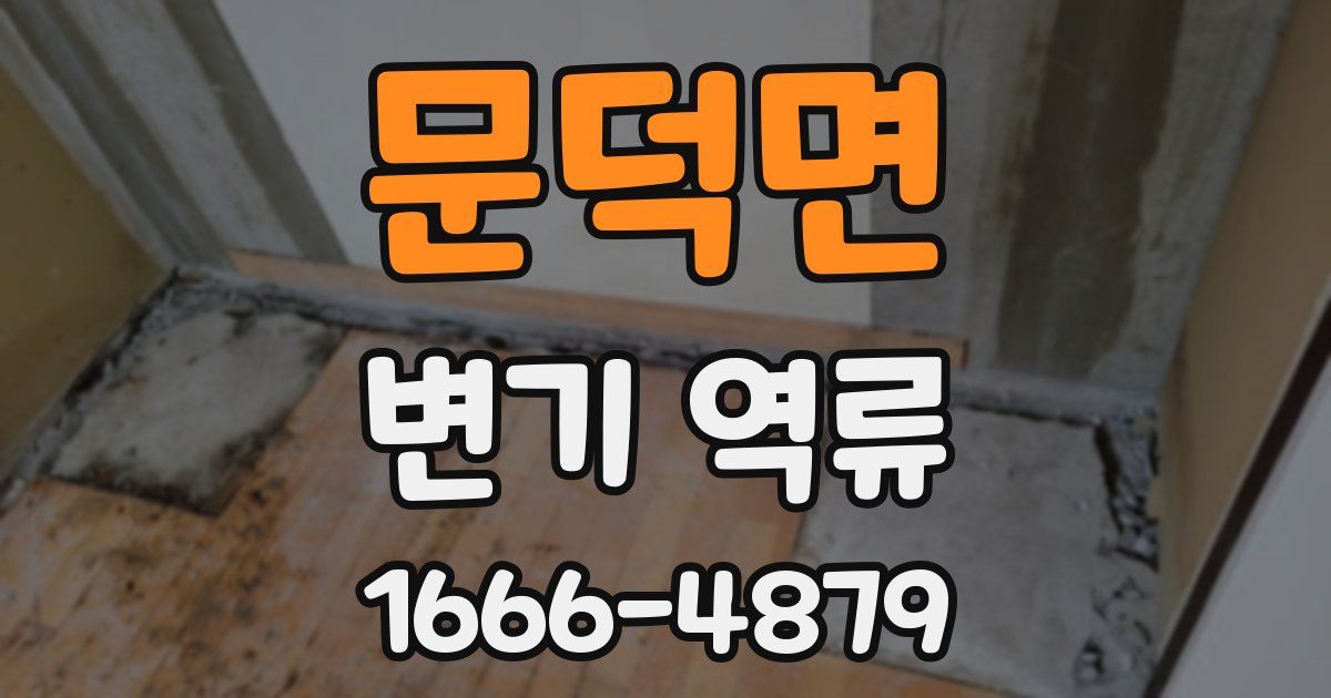문덕면 변기 역류