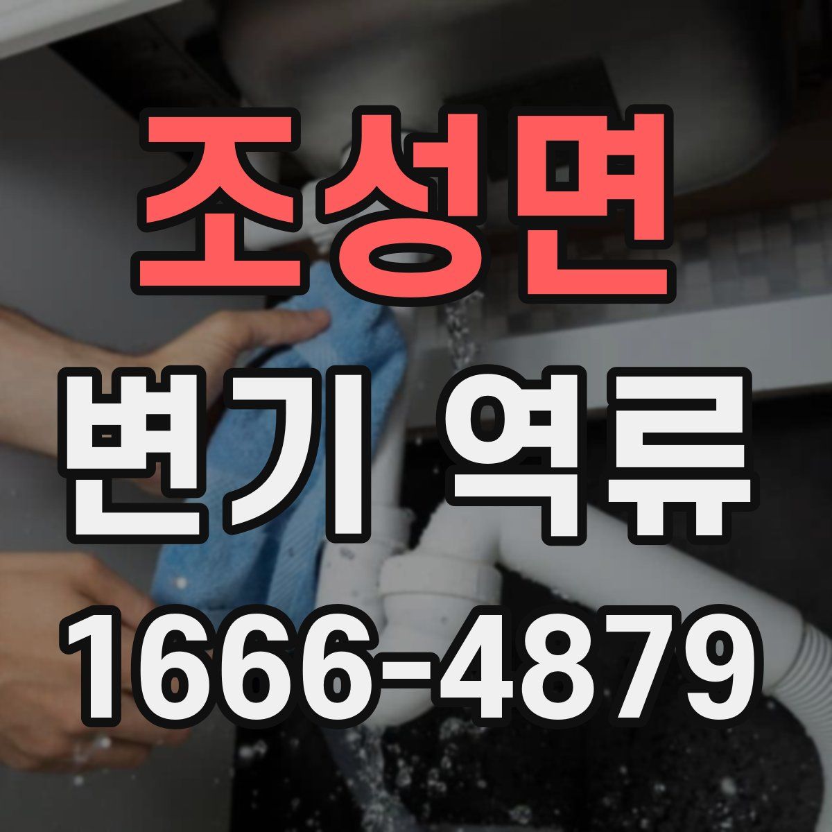 조성면 변기 역류
