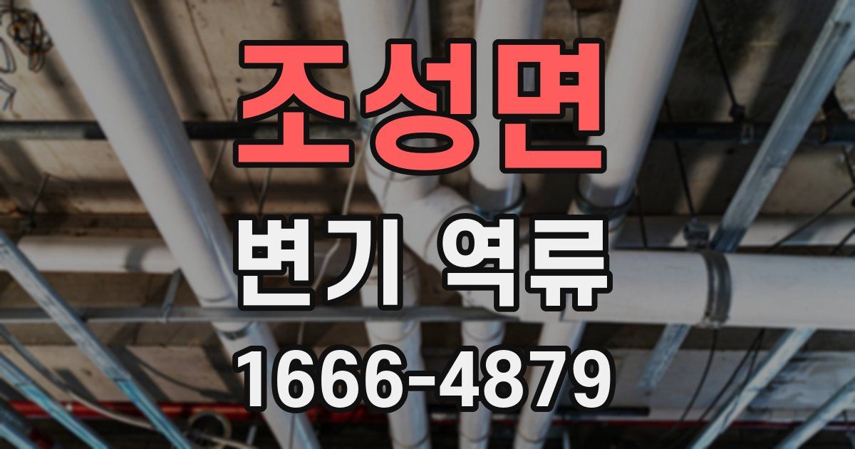 조성면 변기 역류
