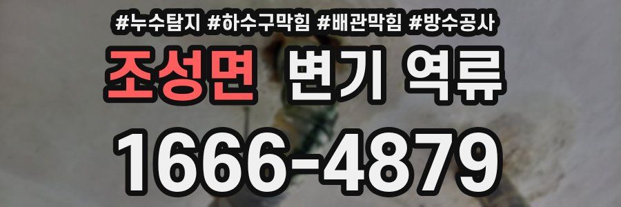 조성면 변기 역류