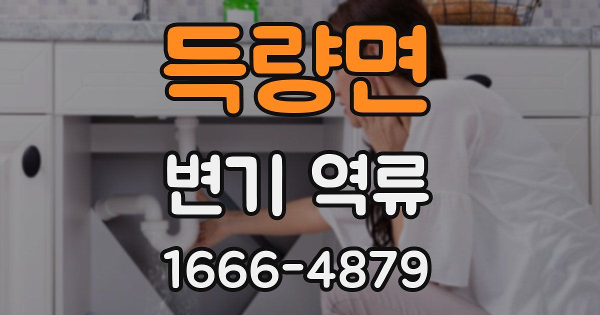 득량면 변기 역류