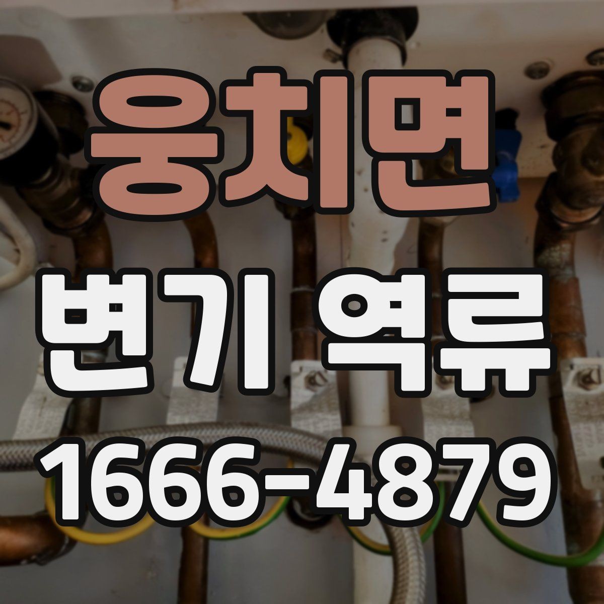 웅치면 변기 역류 수리 전에 알아둘 점