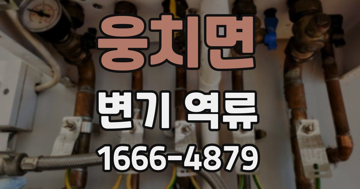 웅치면 변기 역류