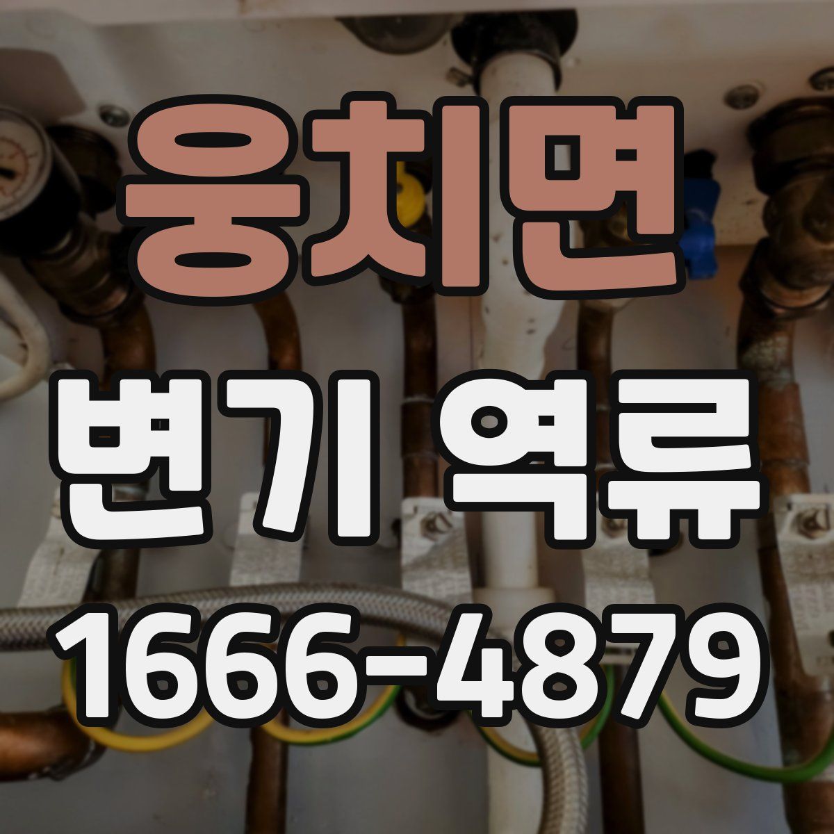 웅치면 변기 역류