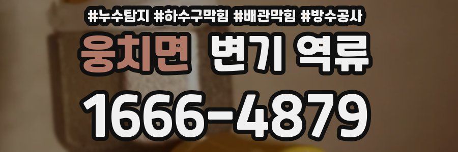 웅치면 변기 역류