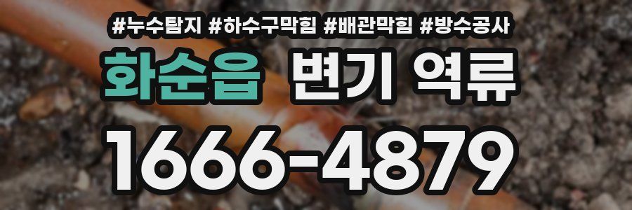 화순읍 변기 역류