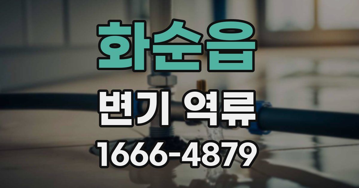 화순읍 변기 역류