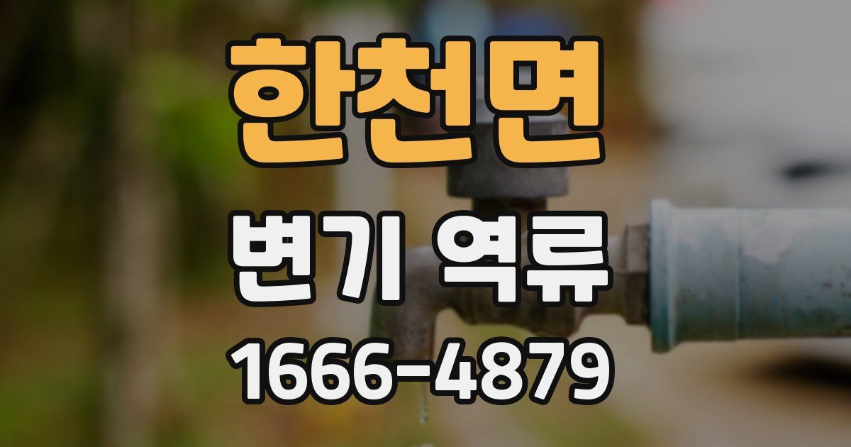 한천면 변기 역류