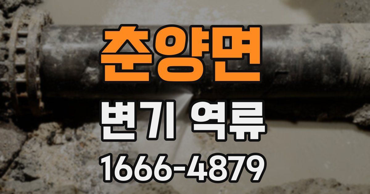 춘양면 변기 역류