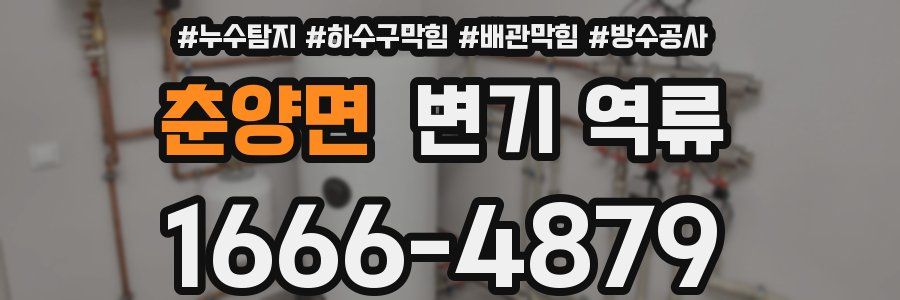 춘양면 변기 역류