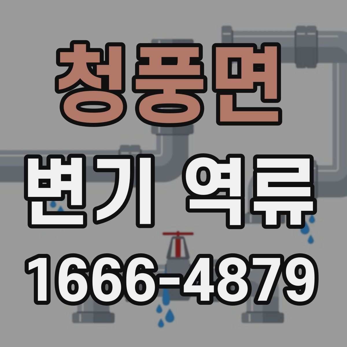 청풍면 변기 역류
