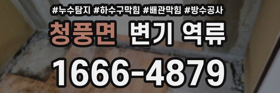 청풍면 변기 역류