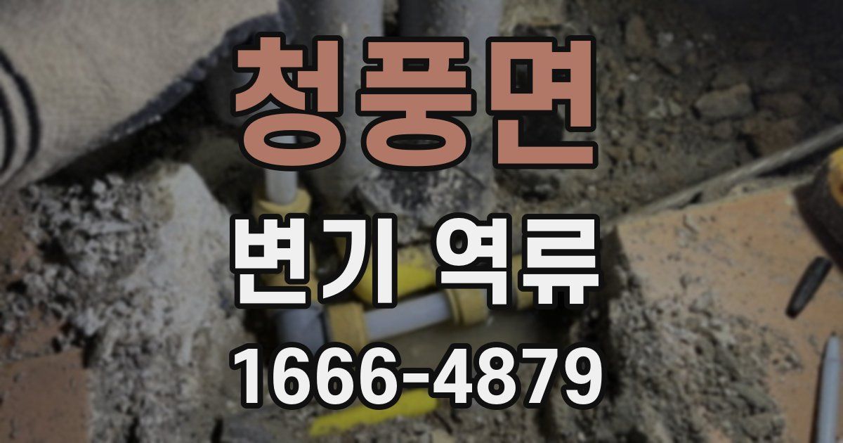 청풍면 변기 역류
