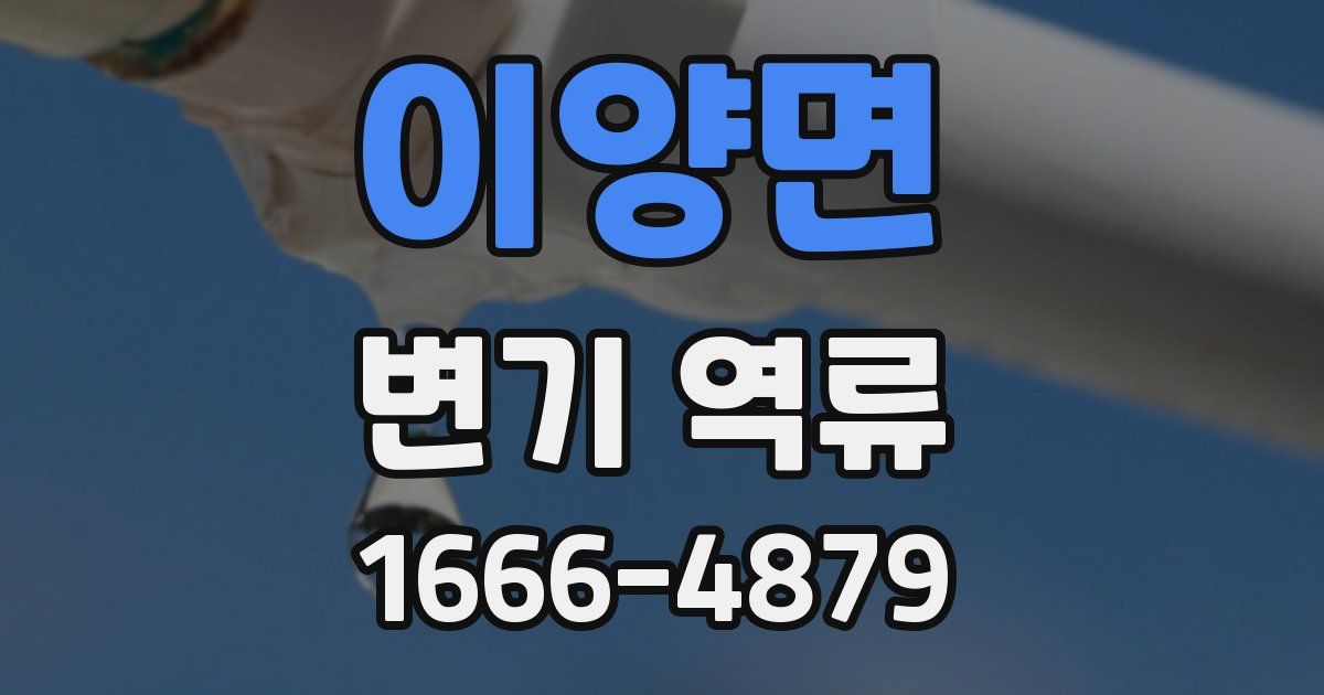 이양면 변기 역류