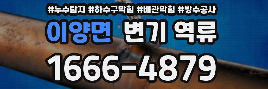 이양면 변기 역류