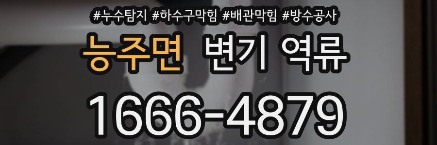 능주면 변기 역류