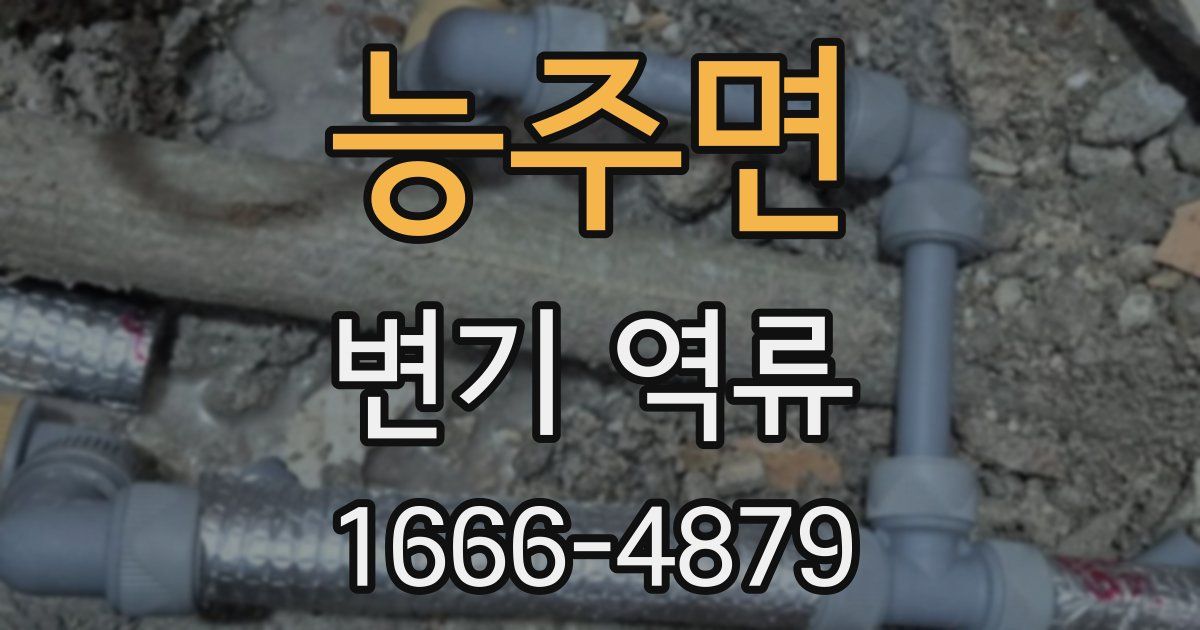 능주면 변기 역류