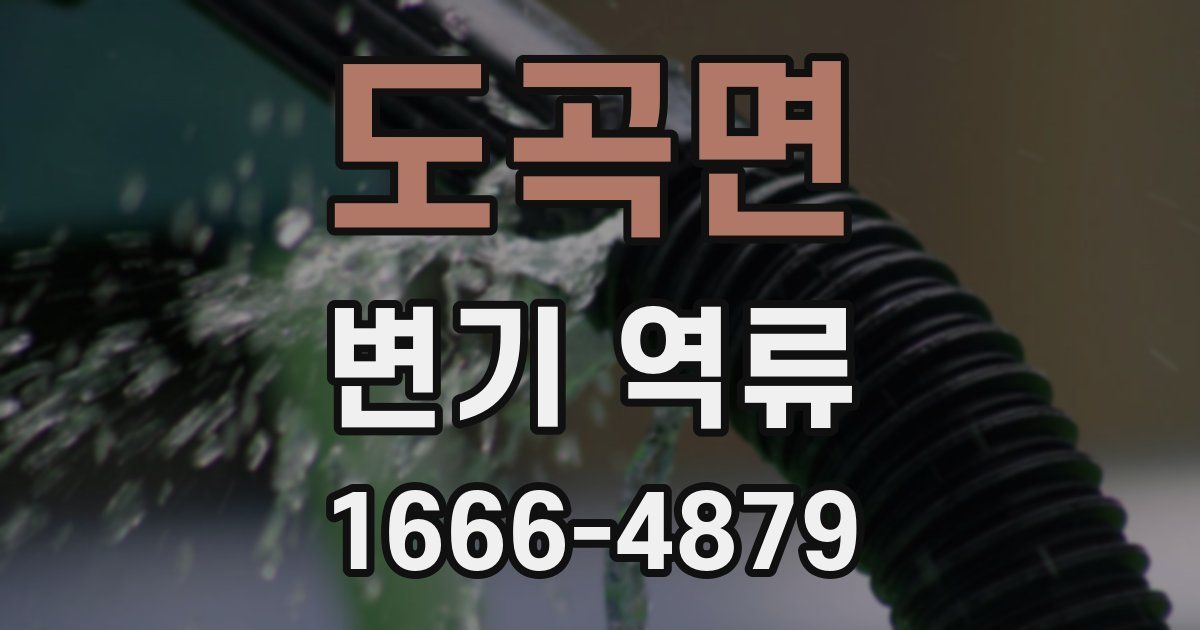 도곡면 변기 역류