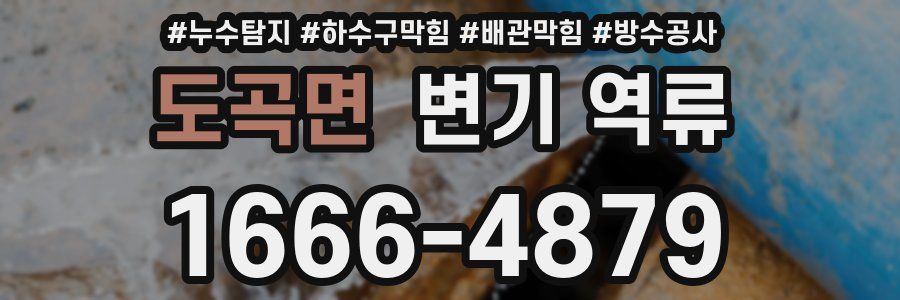 도곡면 변기 역류