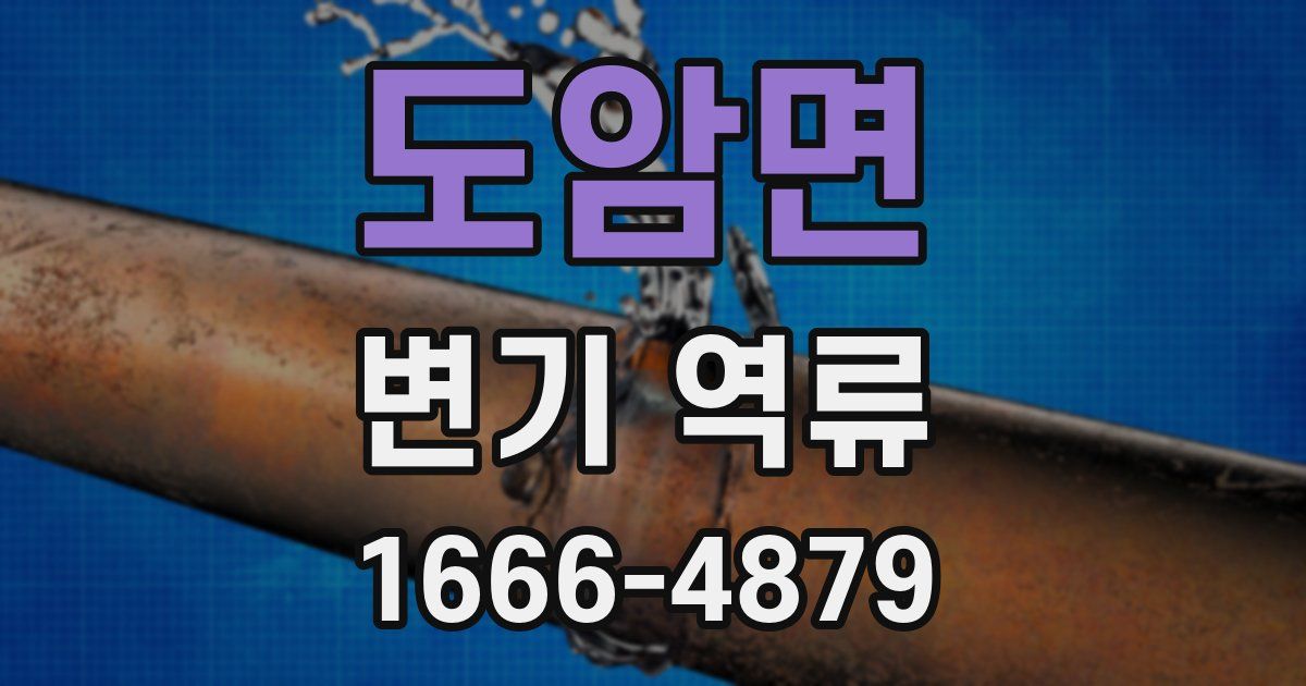 도암면 변기 역류