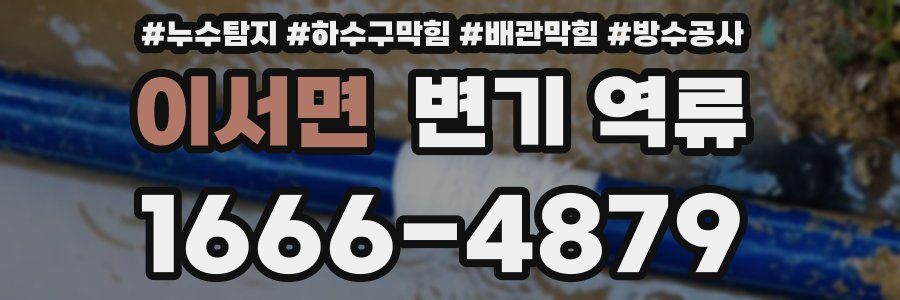 이서면 변기 역류