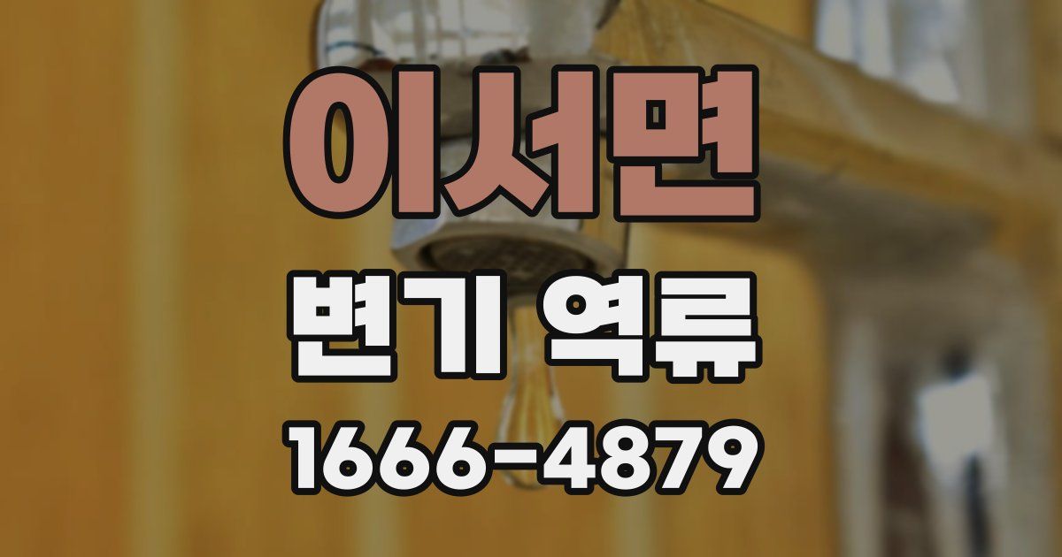 이서면 변기 역류