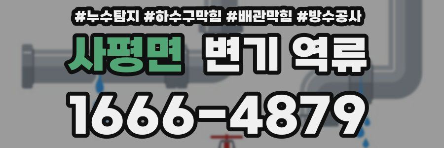 사평면 변기 역류